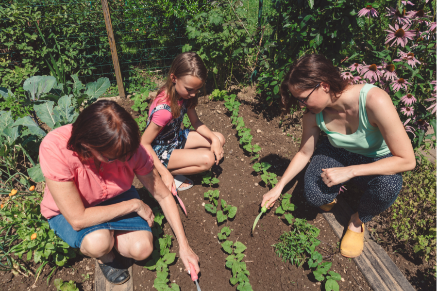 Green Thumb Benefits: Healthy Heart + Joy and Satisfaction