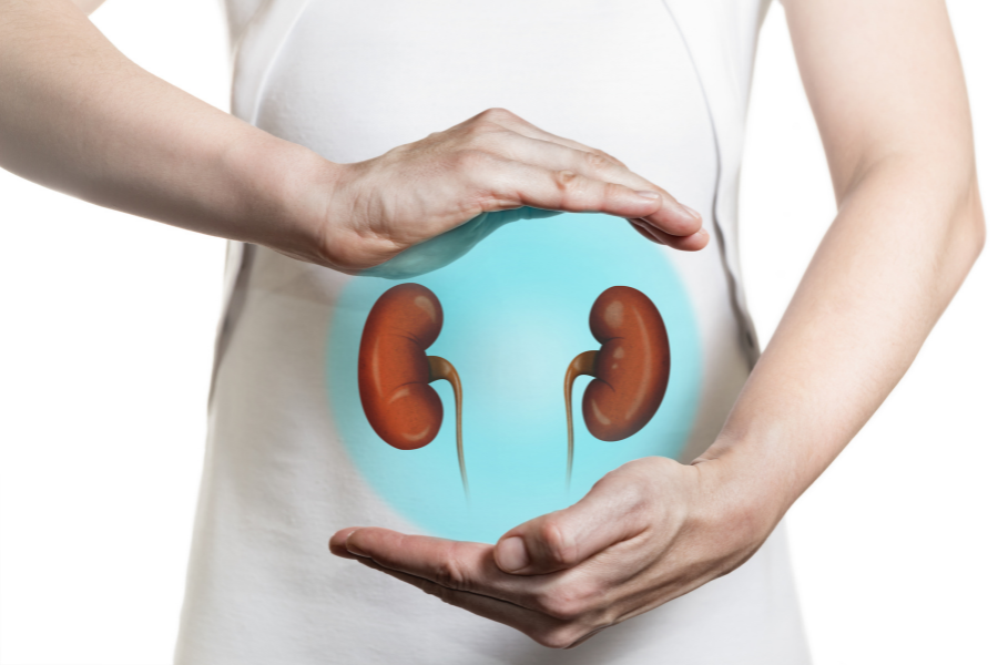 Keeping Your Kidneys Healthy Naturally