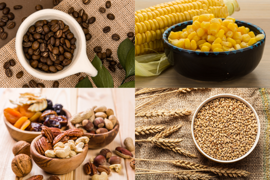 How to Protect Yourself Against Mycotoxins