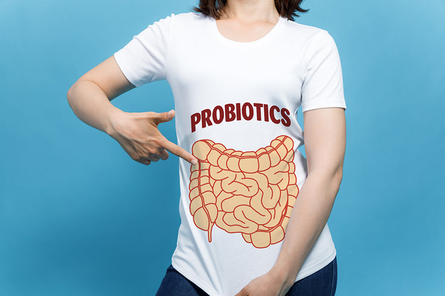 Probiotics 101: What You Need to Know
