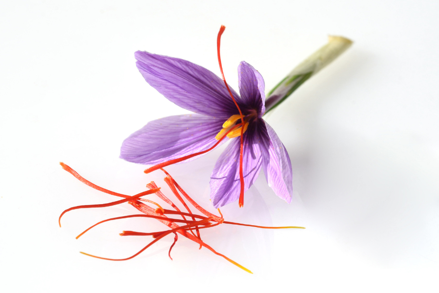 6 Health Benefits of Saffron