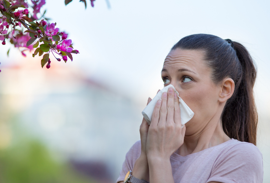 Top 4 Common Spring Allergies... and How to Minimize Them