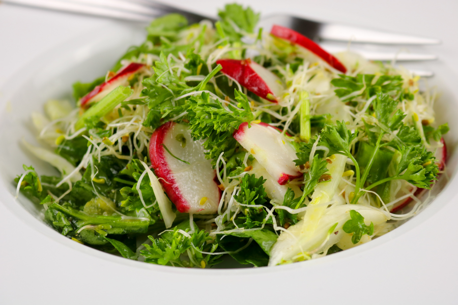 Lunch Today: Watercress and Radish Salad