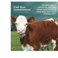 Thumbnail for COLOSTRUM + COLLAGEN