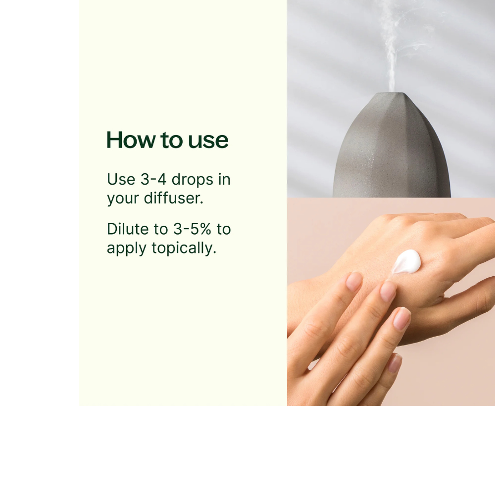 Sweet Fennel Essential Oil