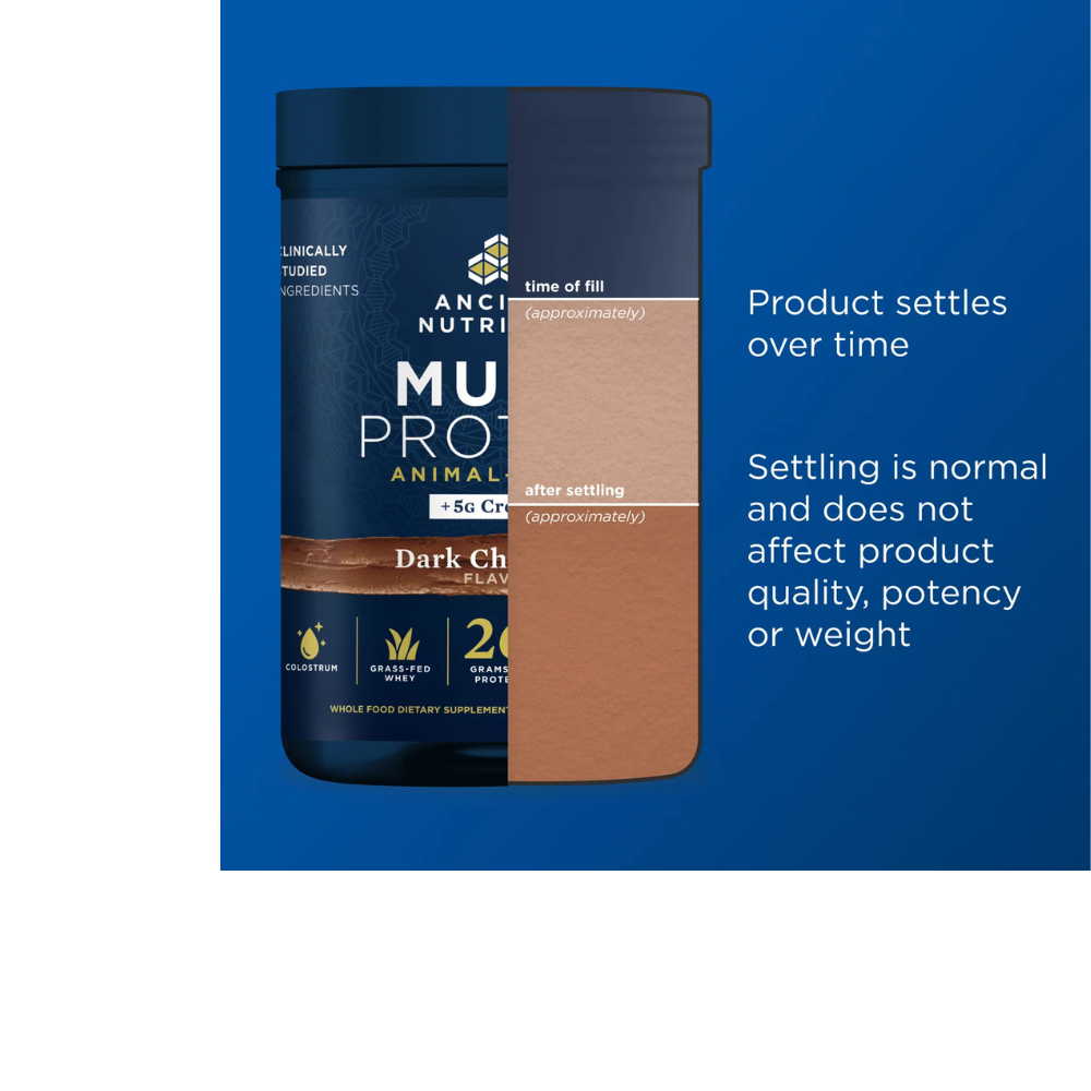MULTI PROTEIN + CREATINE