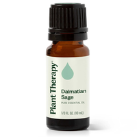 Thumbnail for Dalmatian Sage Essential Oil