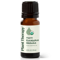 Thumbnail for Organic Eucalyptus Globulus Essential Oil