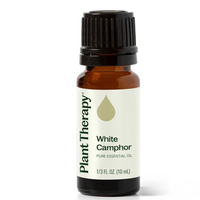 Thumbnail for White Camphor Essential Oil