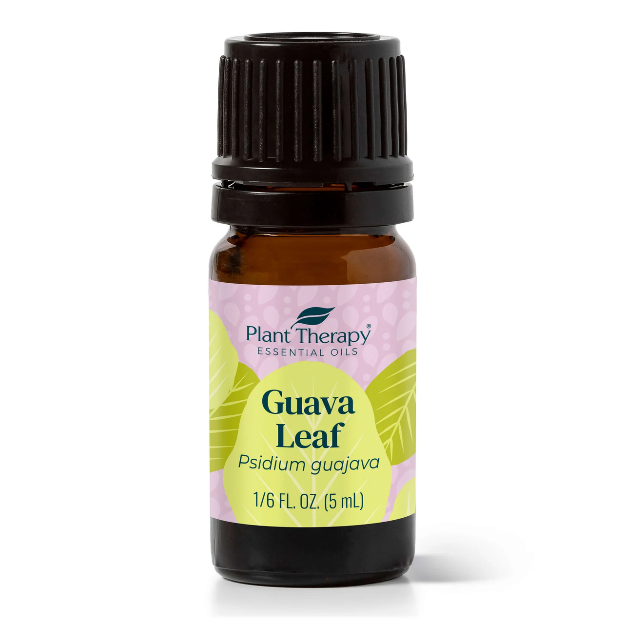 Guava Leaf Essential Oil - Plant Therapy