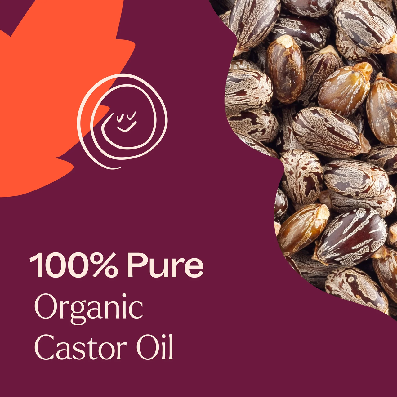 Organic Castor Oil - Plant Therapy