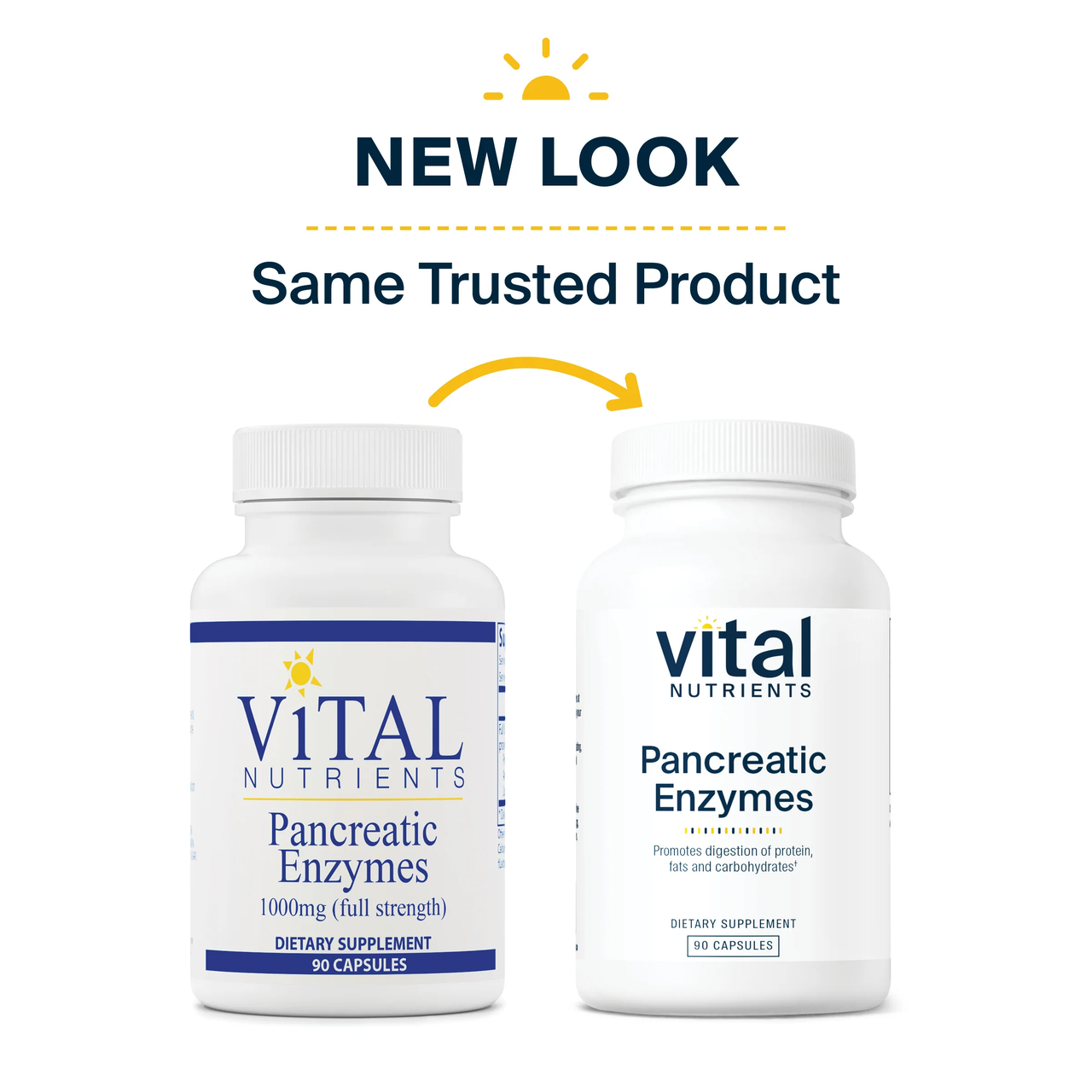 Pancreatic Enzymes - Vital Nutrients