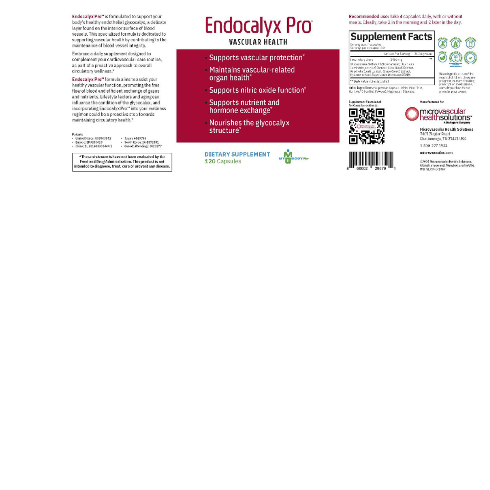 Endocalyx Pro – 1 Bottle