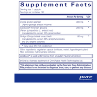 Thumbnail for RAPID MENTAL ENERGY