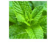 Thumbnail for Stress Ease Tension Relief Tea