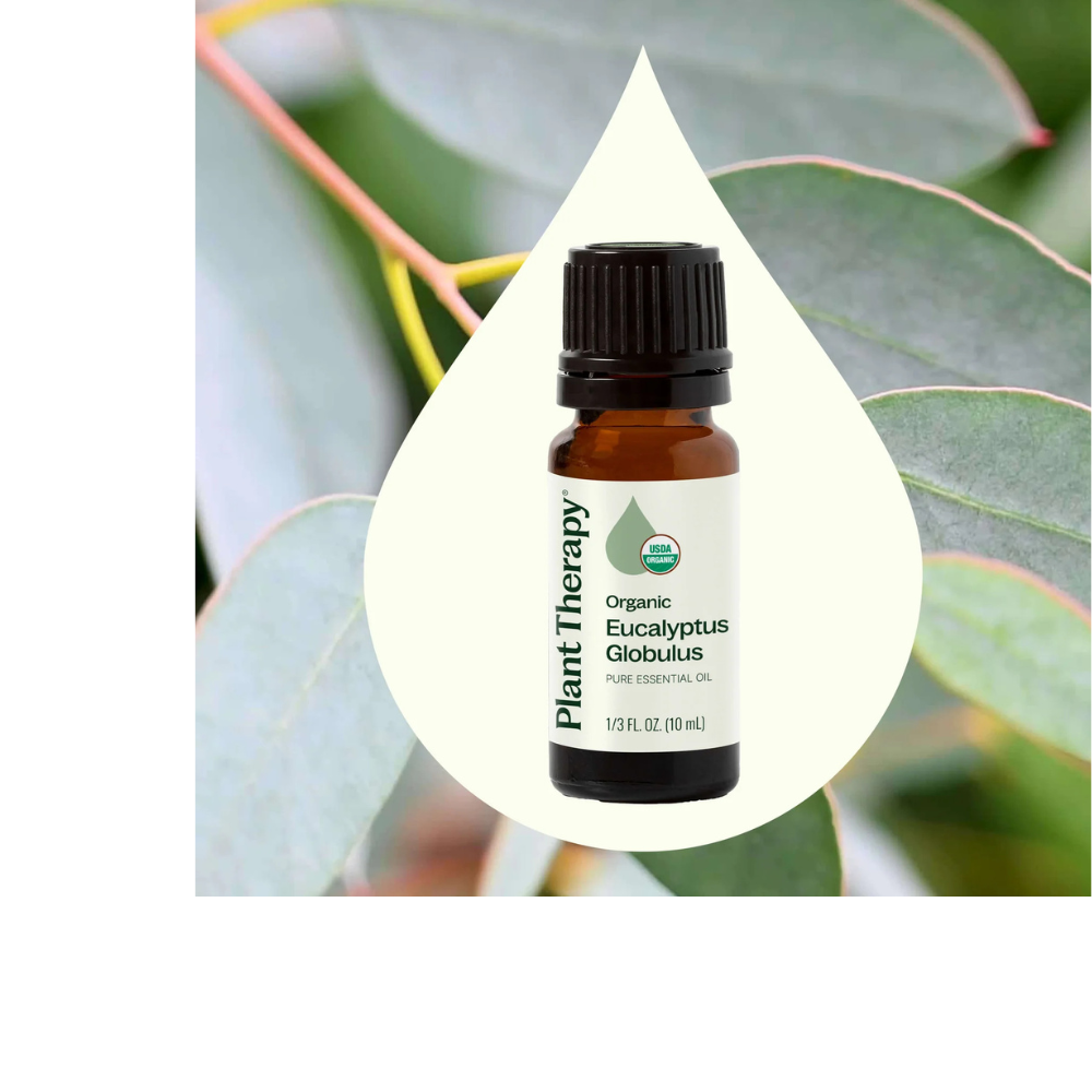 Organic Eucalyptus Globulus Essential Oil