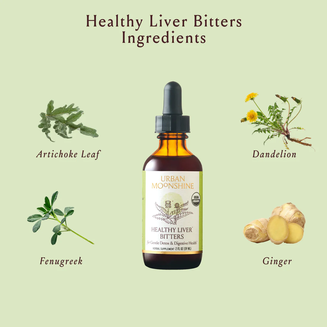Healthy Liver Bitters - Urban Moonshine