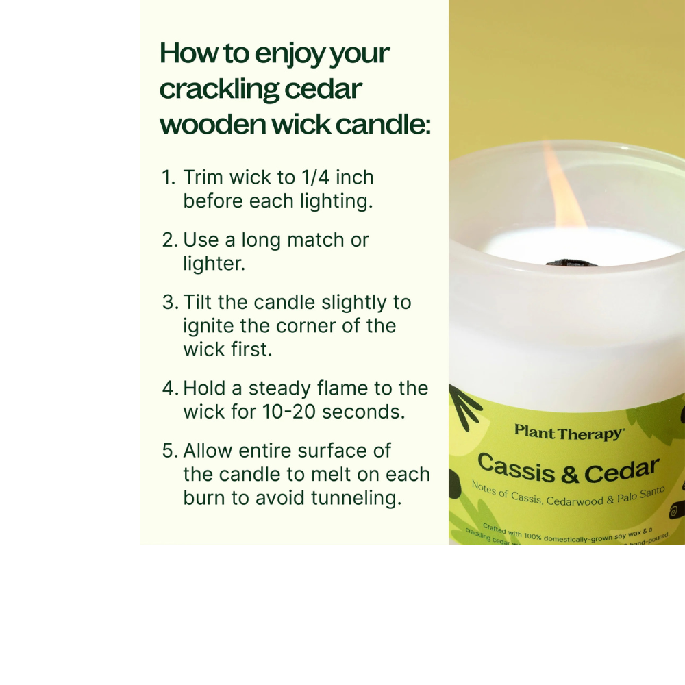 CASSIS & CEDAR NATURALLY SCENTED CANDLE