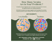 Thumbnail for ORG FLORA SENIOR DAILY PROBIOTIC SUPPLEMENT