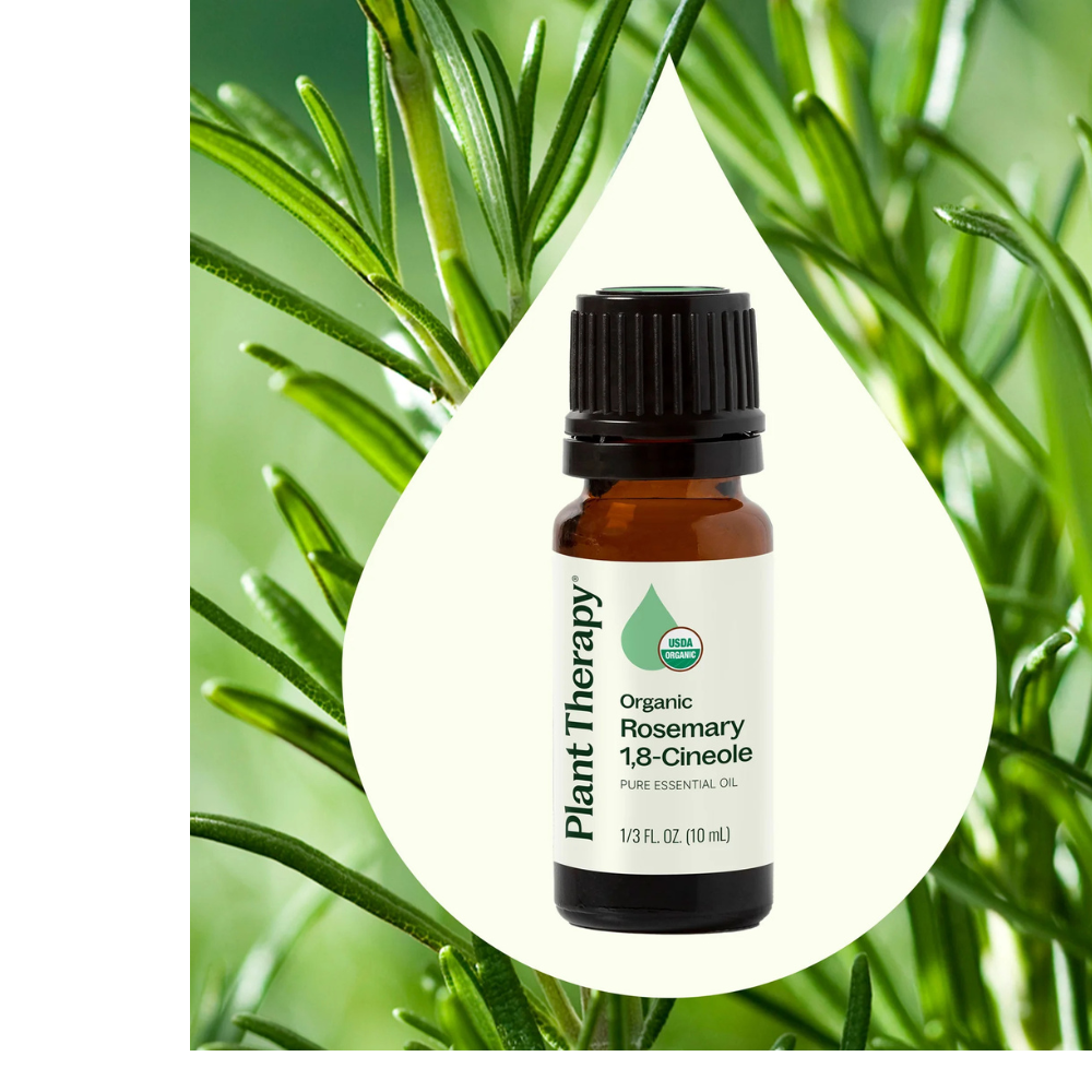 Organic Rosemary 1,8-Cineole Essential Oil