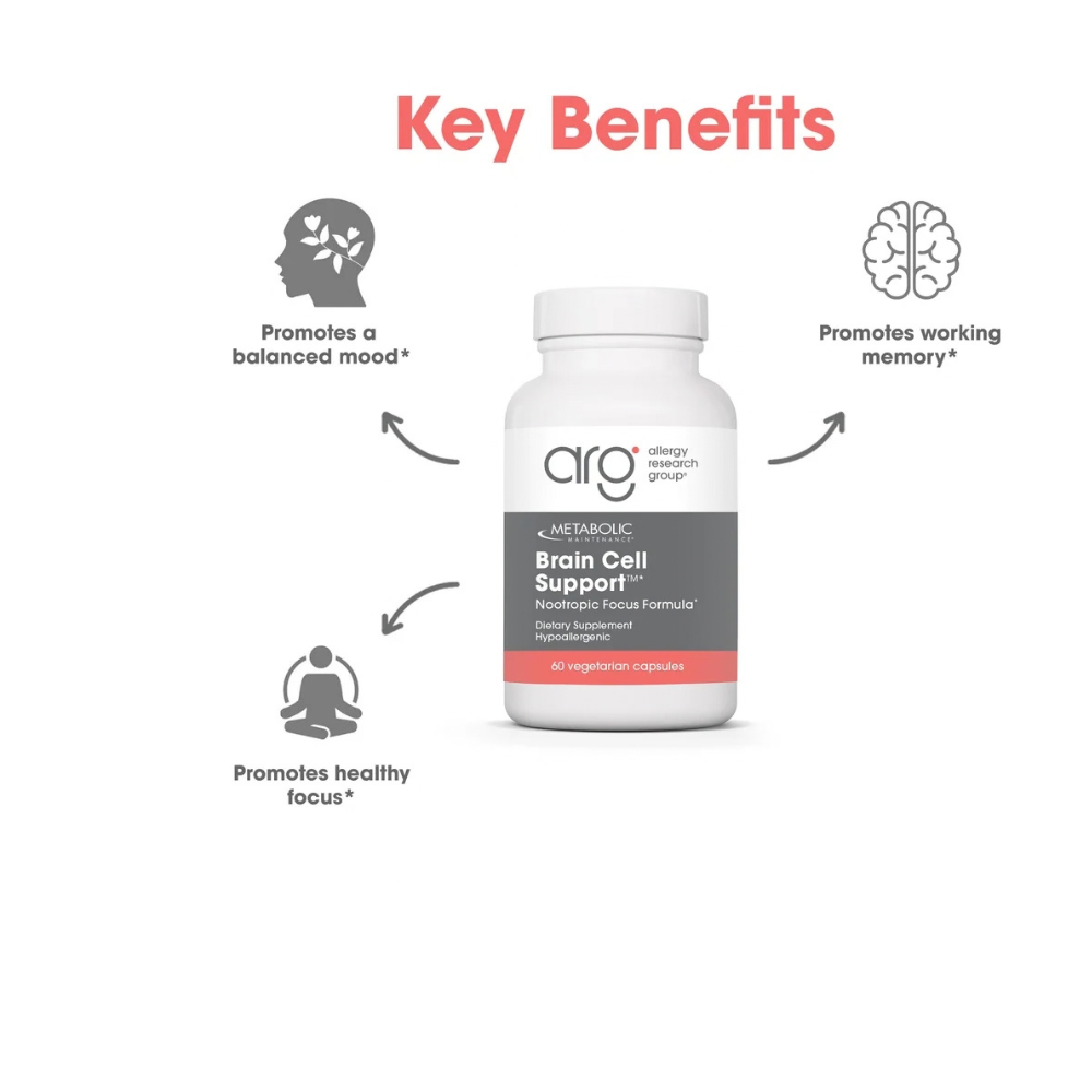Metabolic Maintenance Brain Cell Support