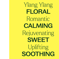 Thumbnail for Organic Ylang Ylang Complete Essential Oil