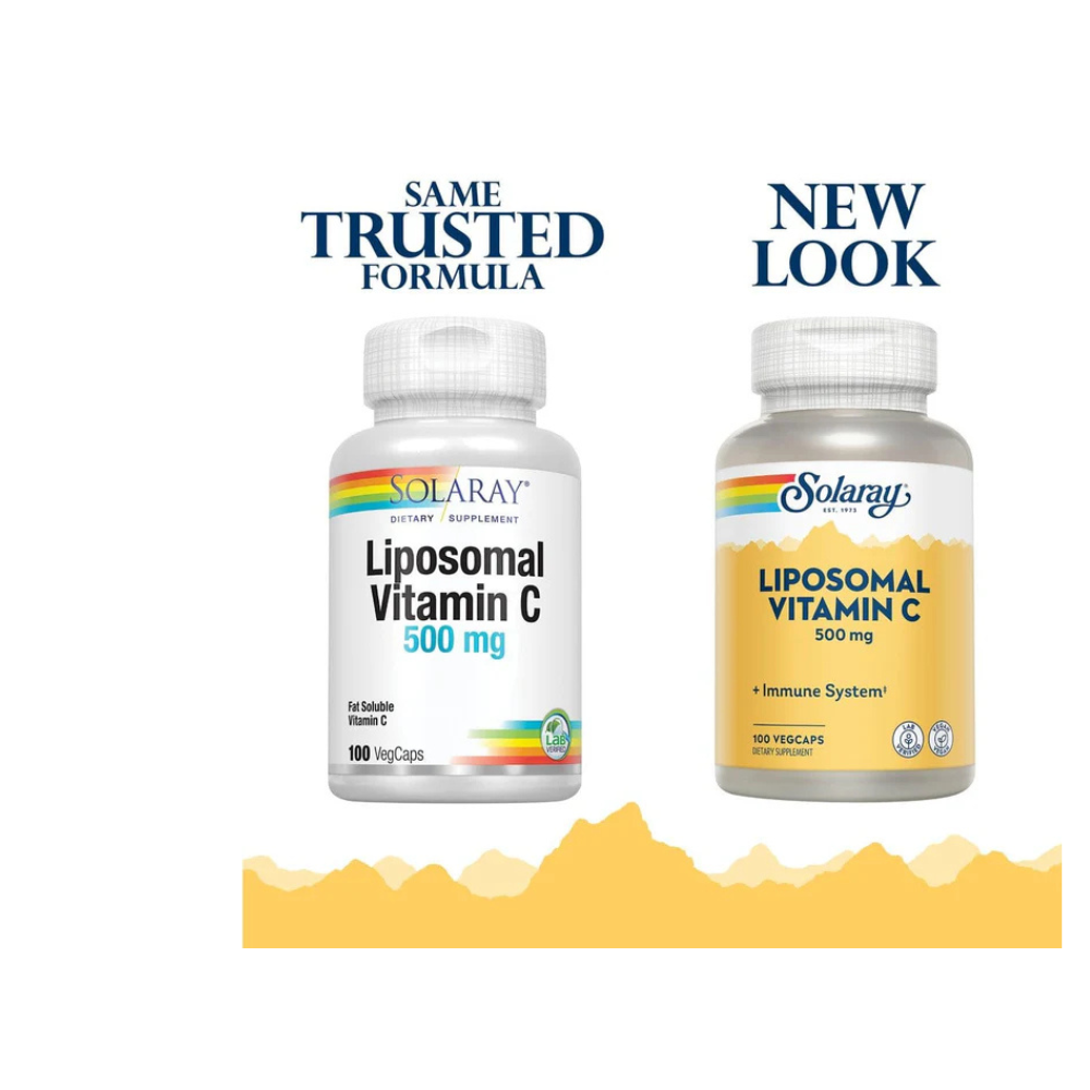 lipid soluble vitamin c Understanding Lip, C, U Channels and I Beam Size – Site Title main image 0