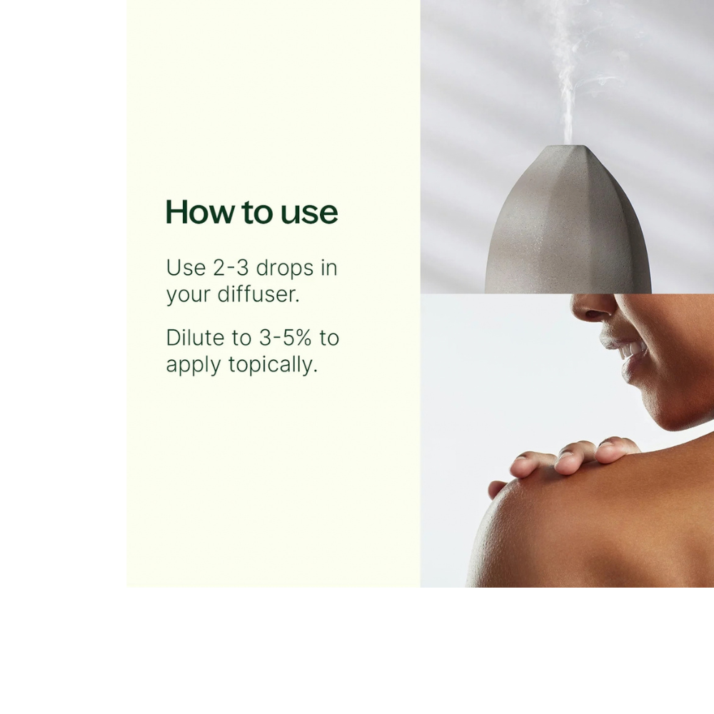 White Camphor Essential Oil