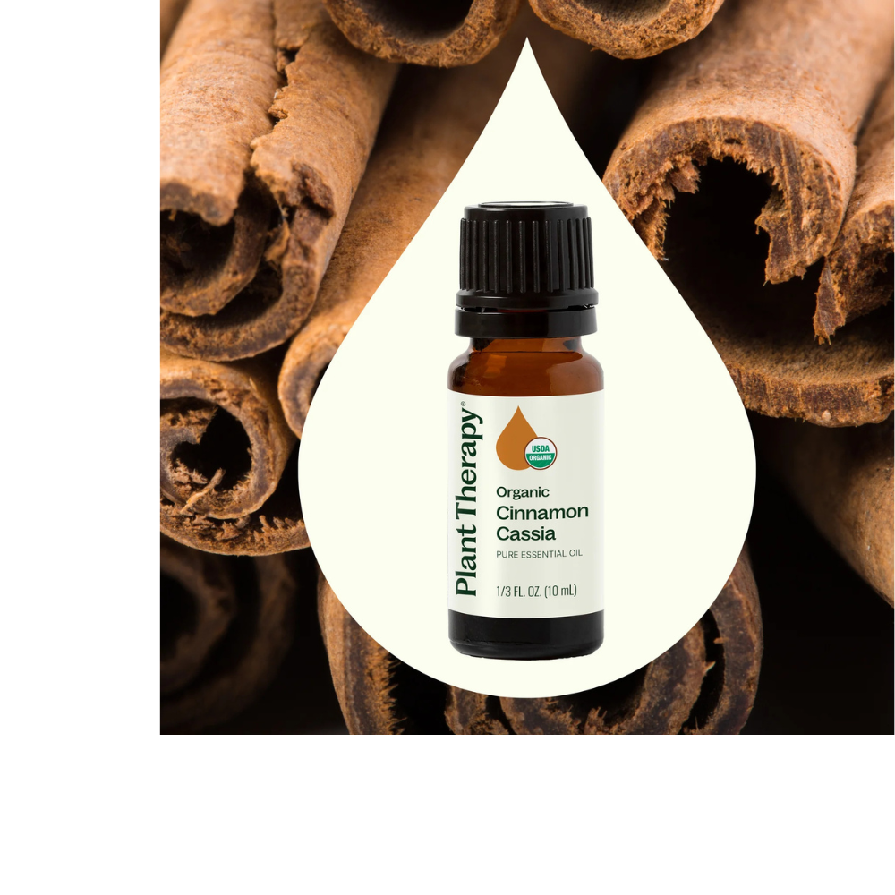 Organic Cinnamon Cassia Essential Oil