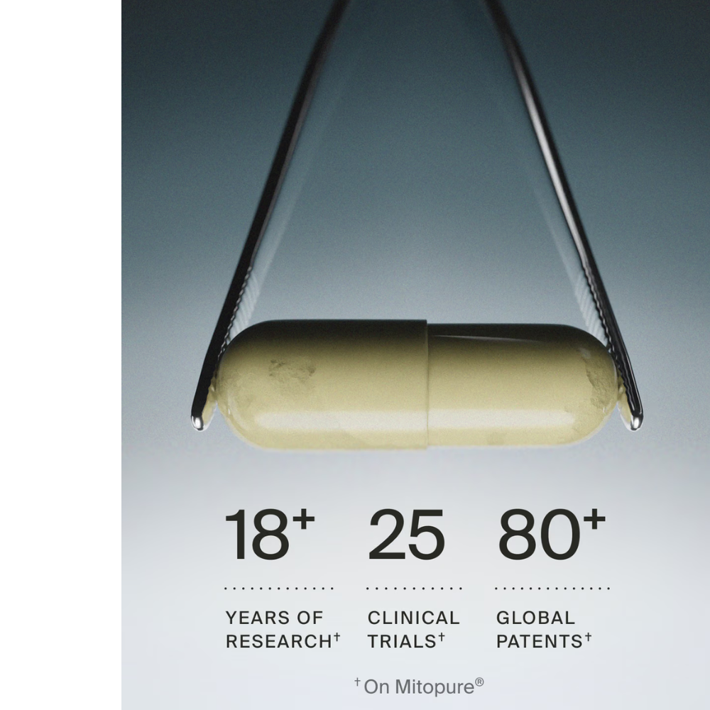 CELLULAR LONGEVITY PRO