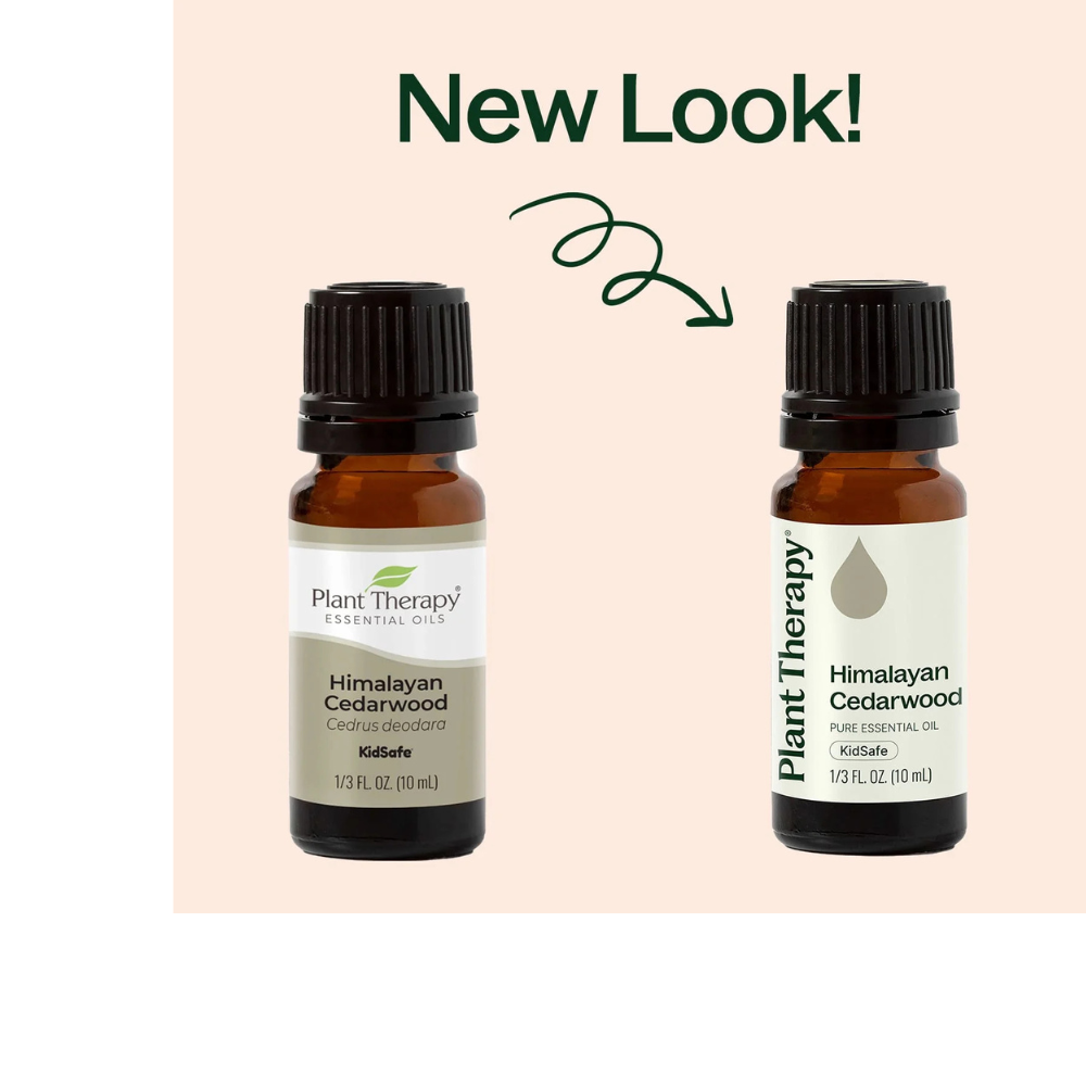 Himalayan Cedarwood Essential Oil