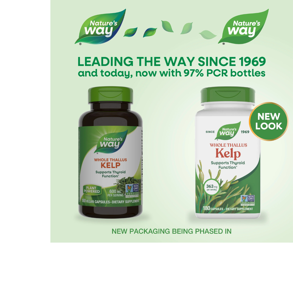 Kelp