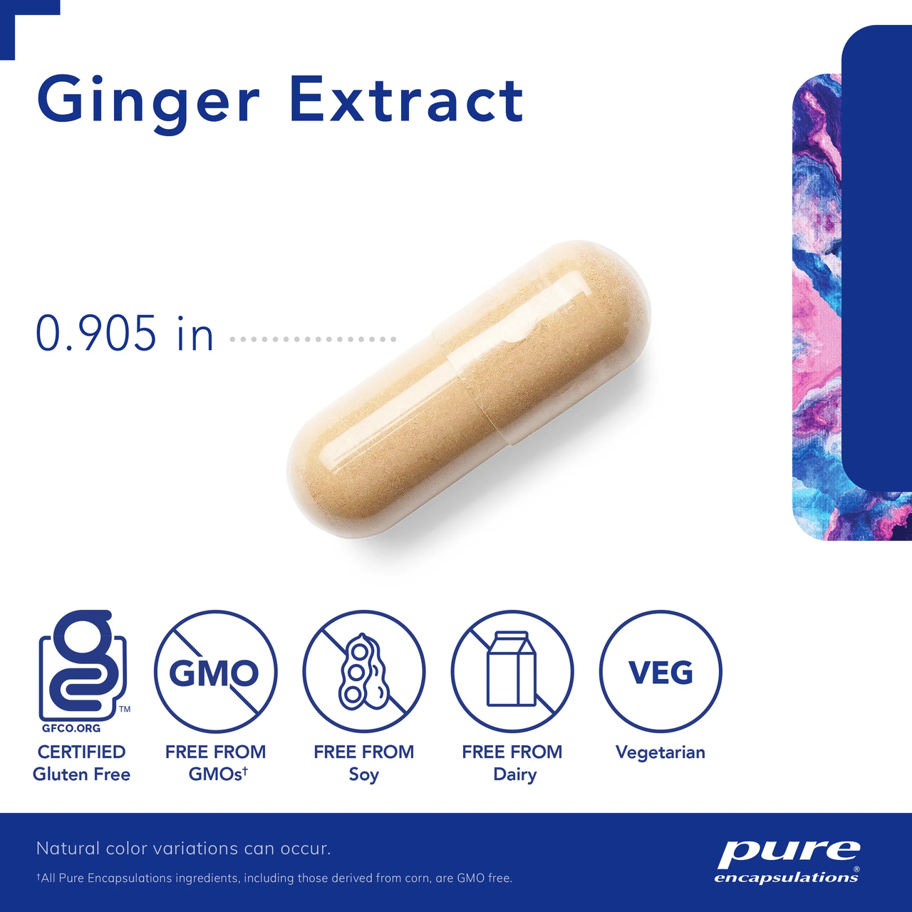 Ginger Extract - Pure Encapsulations