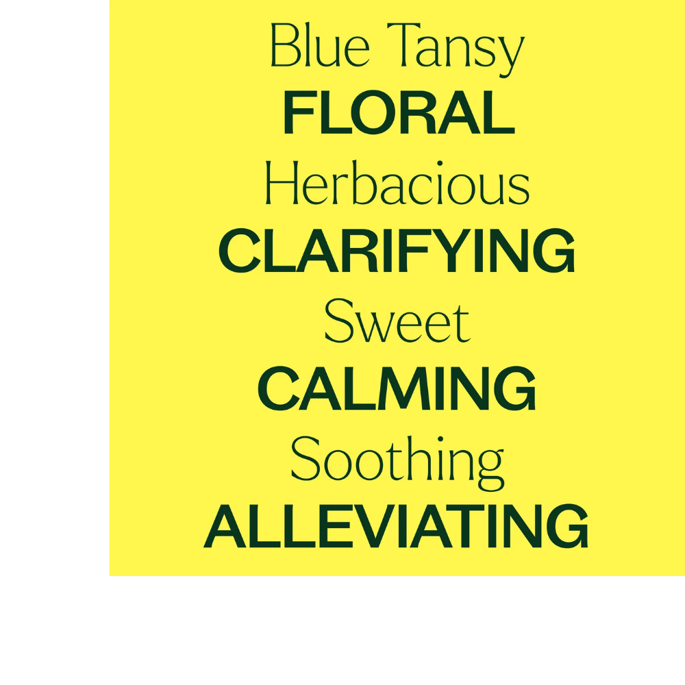 Blue Tansy Essential Oil