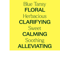 Thumbnail for Blue Tansy Essential Oil