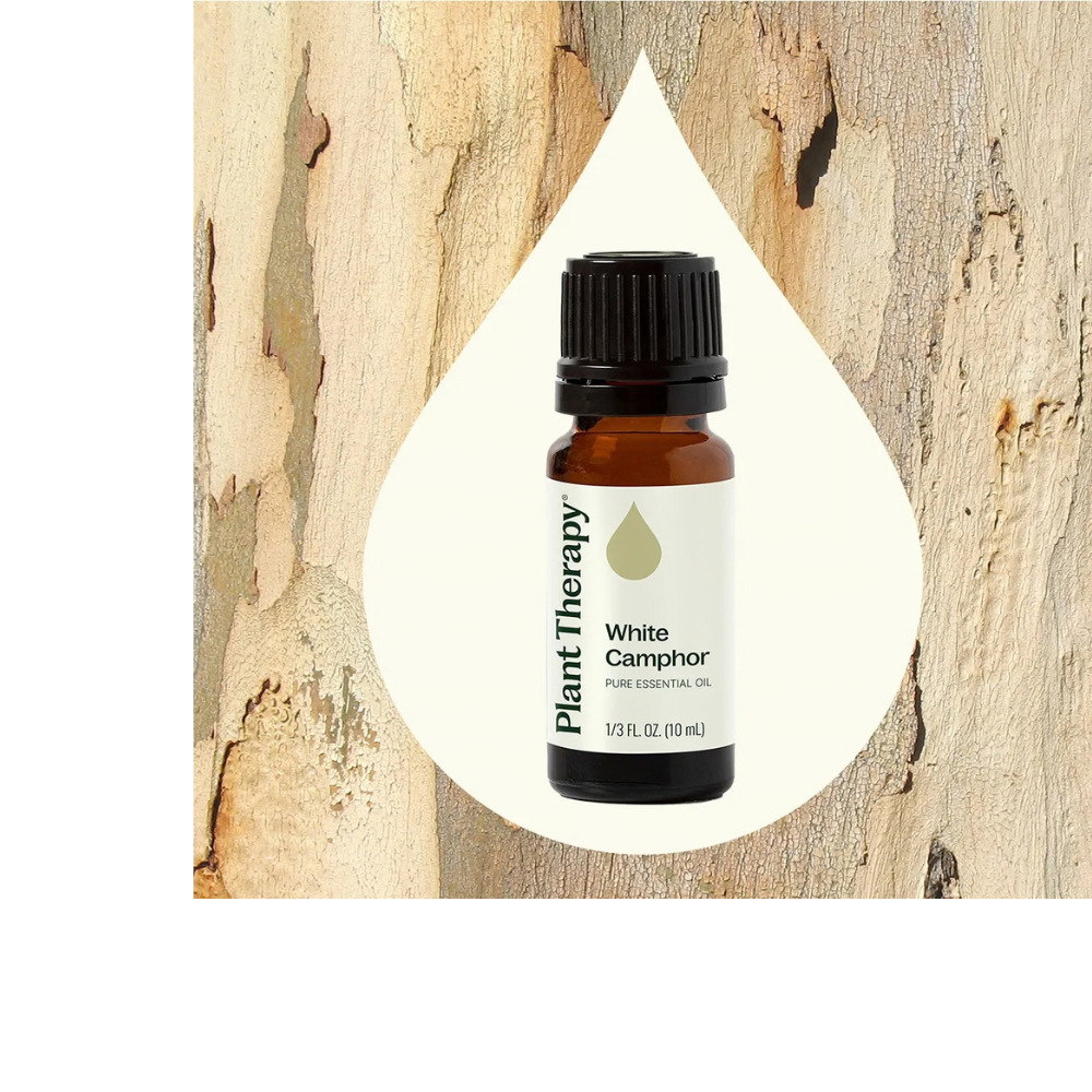 White Camphor Essential Oil