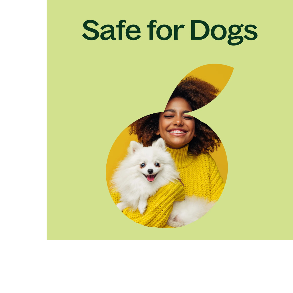 Sweet Fennel Essential Oil