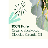 Thumbnail for Organic Eucalyptus Globulus Essential Oil