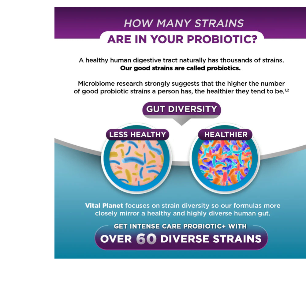 INTENSE CARE RESPIRATORY + IMMUNE PROBIOTIC