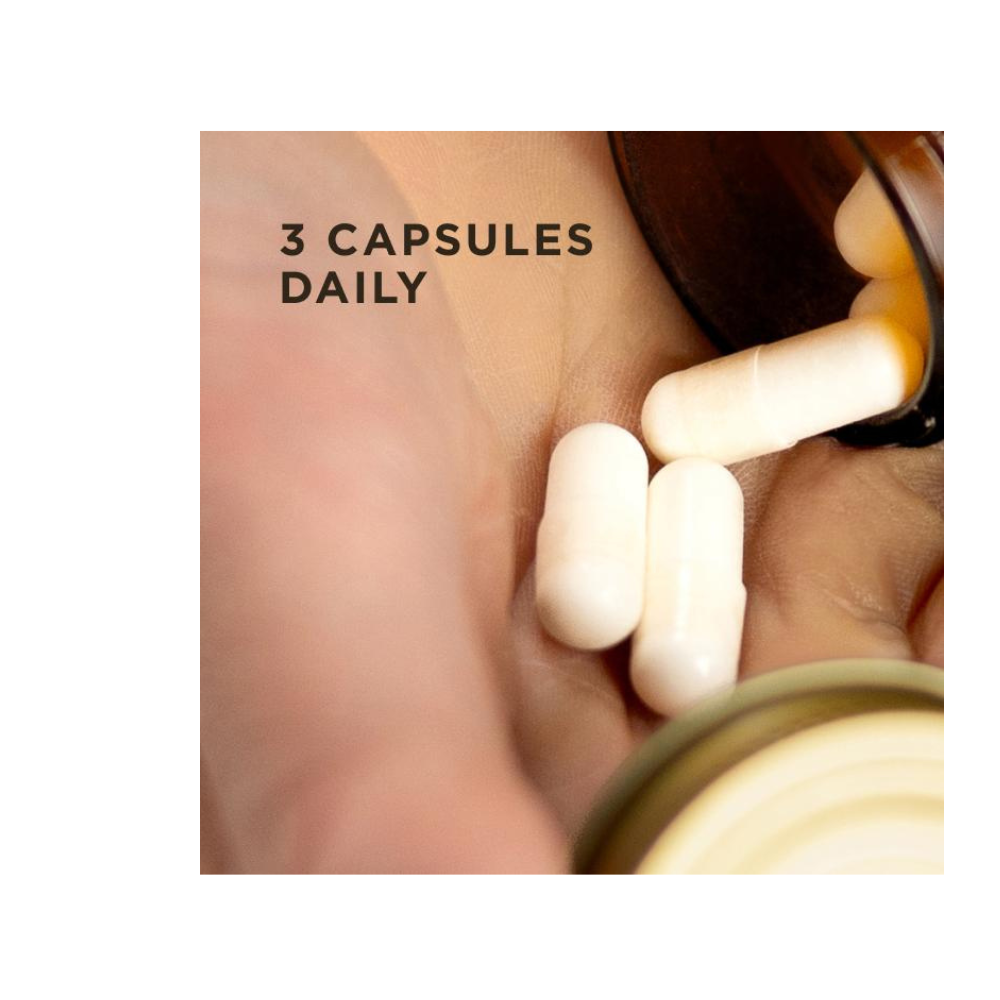 MUSCLE MAINTENANCE CAPSULES