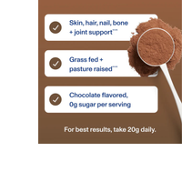 Thumbnail for Chocolate Collagen Peptides