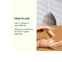 Thumbnail for Organic Cinnamon Cassia Essential Oil