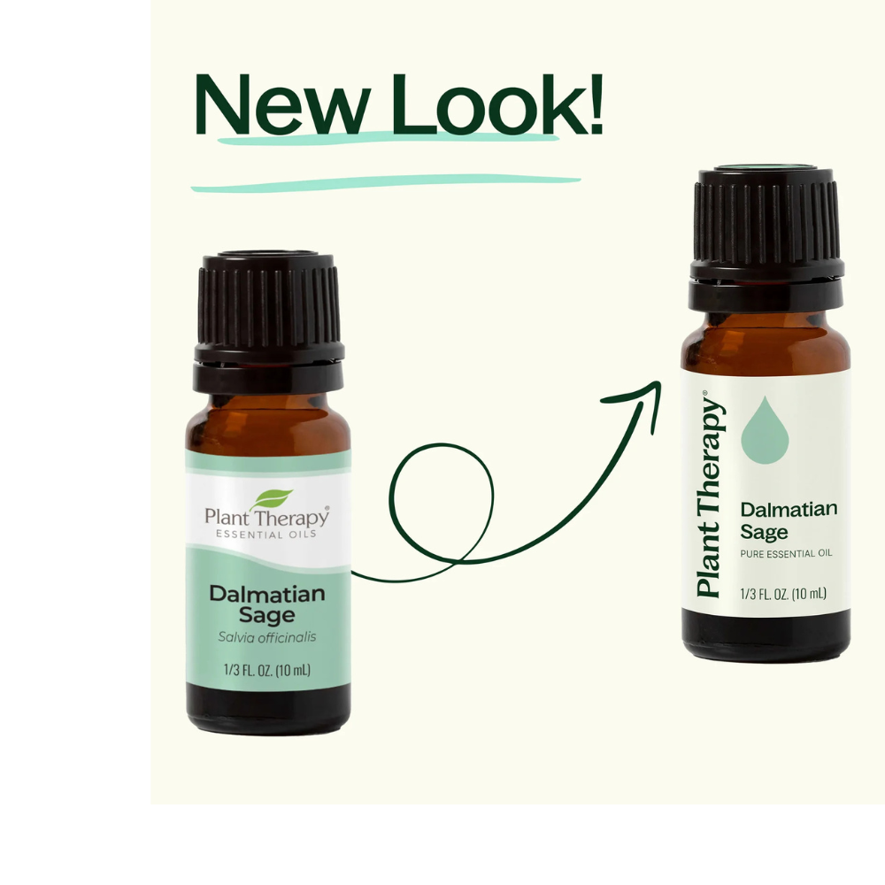 Dalmatian Sage Essential Oil