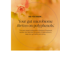 Thumbnail for Polyphenol Booster