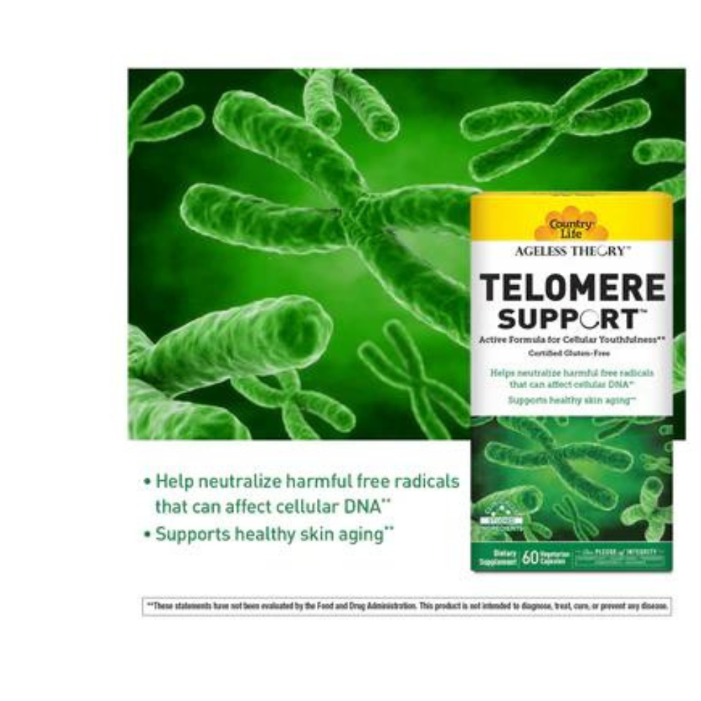 TELOMERE SUPPORT
