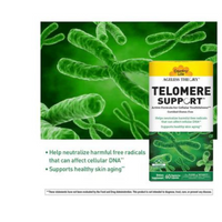 Thumbnail for TELOMERE SUPPORT