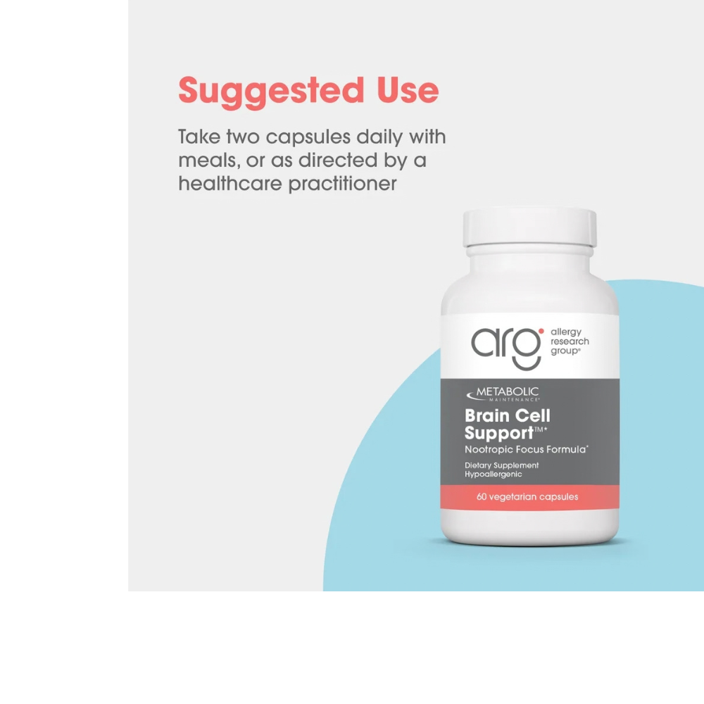 Metabolic Maintenance Brain Cell Support