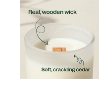 Thumbnail for CASSIS & CEDAR NATURALLY SCENTED CANDLE