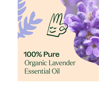 Thumbnail for Organic Lavender Essential Oil