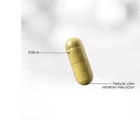 Thumbnail for Fermented Digestive Enzymes Large